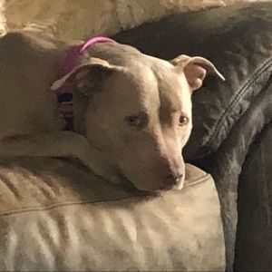 Meet your Posher, Scott